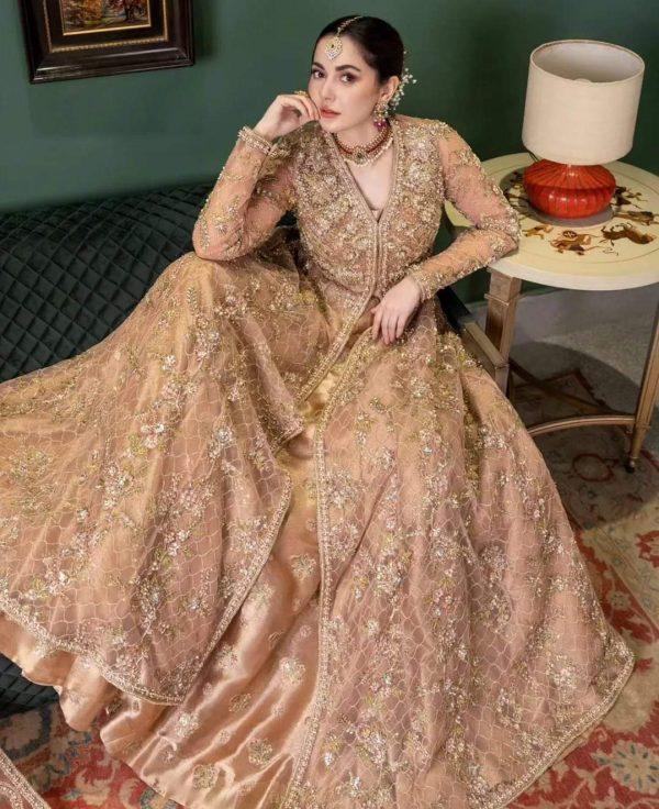 Net with pure Indian Raw silk Dress for wedding Dupta